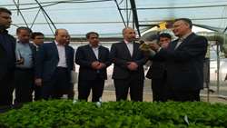 بازرس کل آذربایجان غربی خبرداد: ورود بازرسی برای رفع مشکلات شرکت رویان پژوهش آذربایجان/ مشکل زمین رفع شد