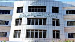 ورود بازرسی کل استان خراسان جنوبی به موضوع قیمت مرغ در استان