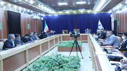هشدار بازرس کل ایلام در خصوص مشکلات کشتارگاه صنعتی/وضعیت فعلی کشتارگاه ایلام موجب هدر رفتن بیت المال می شود