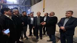 بازدید قائم مقام سازمان بازرسی کل کشور از گروه صنعتی آرتا اردبیل/ فعالان اقتصادى دستگاه‌هاى کارشکن پیش پاى تولیدکنندگان را به سازمان بازرسی کل کشور معرفی کنند