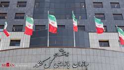 تعدادی از مدیران دستگاه‌های اجرایی به دلیل عدم اجرای قانون حمایت از معلولان از سوی سازمان بازرسی اخذ دفاع شدند