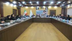 بازرس کل استان گیلان تاکید کرد: دستگاه‌های اجرایی مکلف به اجرای قانون حمایت از خانواده و جوانی جمعیت هستند