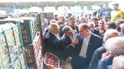 بازدید سه ساعته قائم مقام سازمان بازرسى و هیات همراه از میدان مرکزى میوه و تره بار/ تاکید بر لزوم رعایت مقررات قانونی و ضوابط/ سد معبر، تصرف حرائم غرف و اجاره آن و عدم رعایت نکات بهداشتى در صدر تخلفات