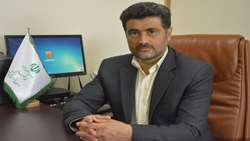 مکاتبه سازمان بازرسی با وزارت ورزش در رابطه با دستور وزارتخانه برای انتخاب سرپرست در فدراسیون‌ها/ لزوم برگزاری به موقع مجامع انتخاباتی/ اساسنامه فدراسیون‌های ورزشی اصلاح و بروزرسانی شود/ فیلم