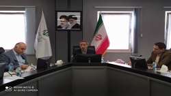 بازرس کل لرستان: تمامی واحدهای صنعتی باید به برق جایگزین مجهز شوند