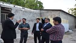 بازدید بازرس‌کل قضایی کهگیلویه و بویراحمد از مزرعه 45 تنی پرورش قارچ دکمه‌ای در یاسوج  