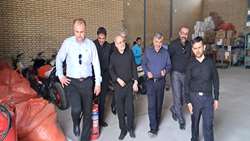 بازدید بازرس کل استان بوشهر از انبارهای اموال تملیکی گناوه و دیلم