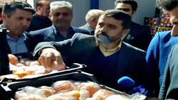 بازدید بازرس کل قضایی استان ایلام از سردخانه های میوه شب عید ایلام