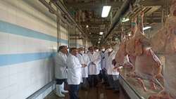 بازدید بازرس کل قضایی چهارمحال و بختیاری از کشتارگاه صنعتی جونقان / تأکید بر رفع ابهام در روند واگذاری و افزایش بهره‌وری