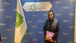 جشنواره شفافیت؛ مسیری برای اعتماد عمومی و سلامت اداری است