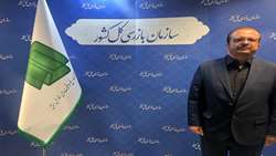 جشنواره شفافیت با طراحی دقیق، آموزش‌های مناسب و پشتوانه علمی محکم اجرا شد