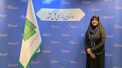 جشنواره شفافیت رویکردی ارزشمند و ضروری برای دستگاه‌ها است