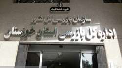 بازدید نامحسوس بازرس کل قضایی استان خوزستان از وضعیت سطح شهر شهرستان شوش