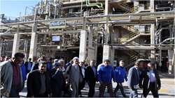 بررسی تمام عوامل به‌وجودآورنده مشکلات این کارخانه در دستور کار سازمان بازرسی است