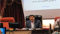 چرا باید فردی ۲۴ ساعته وام خود را بگیرد اما فرد دیگر شش ماه منتظر بماند